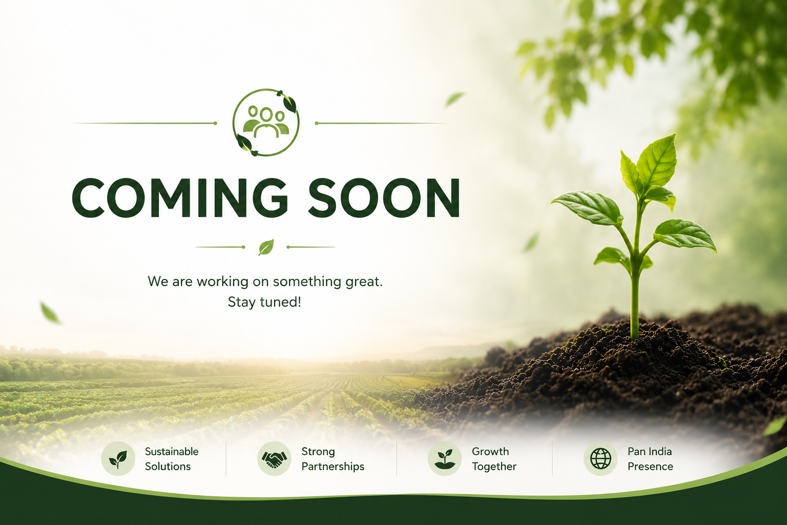 Growing Tree Organic Distributor