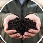 Growing Tree Vermicompost
