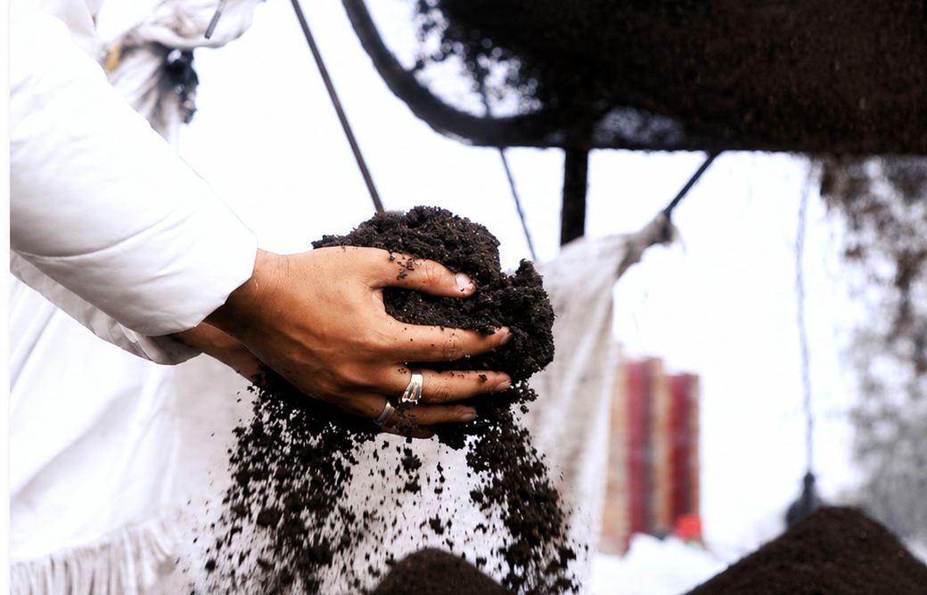 Growing Tree Organic Vermicompost